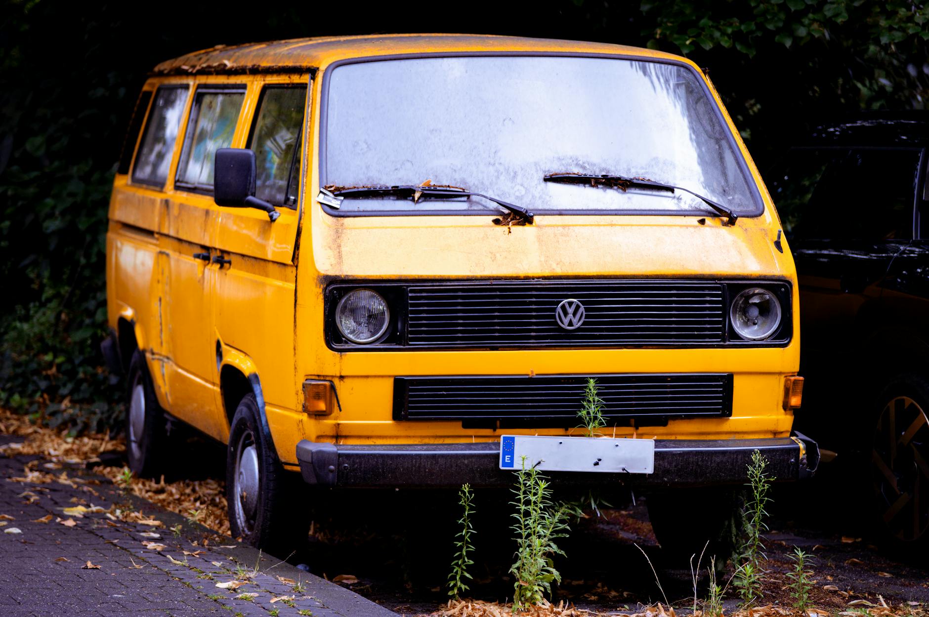 Żółty kamper Volkswagena zaparkowany wśród drzew na camper parku
