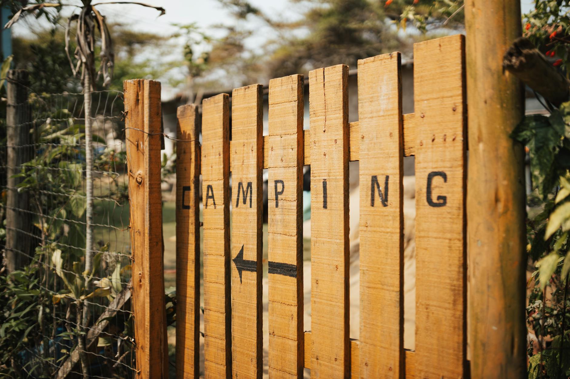 Drewniany szyld camping wśród zieleni na tle natury